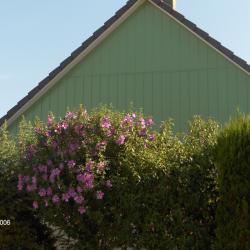 Bardage complet pignon en aluminium prélaqué Dal'alu, Strasbourg - Mey'er Herrlisheim, alsace, Bas Rhin